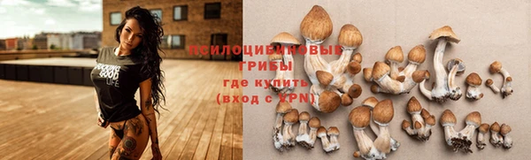 прущая мука Каменногорск