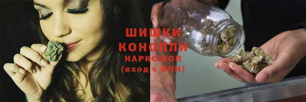 дурь Каменка