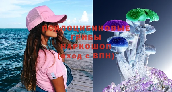 прущая мука Каменногорск