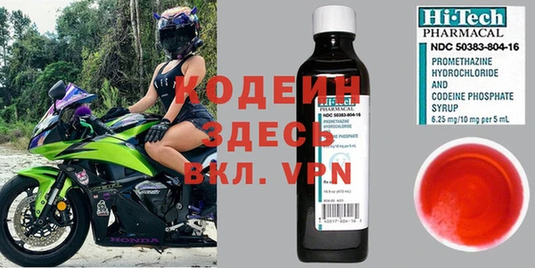 дурь Каменка