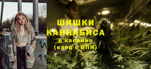 прущая мука Инта