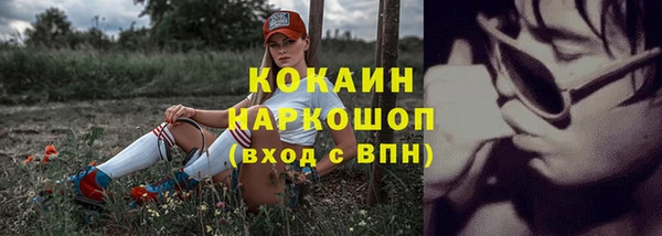 дурь Каменка